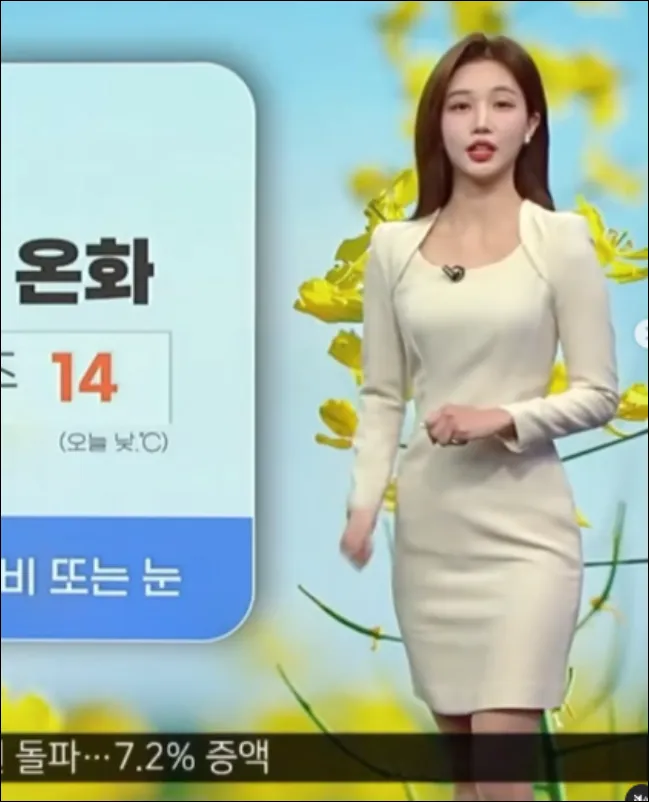 고은재-기상캐스터-뉴스진행